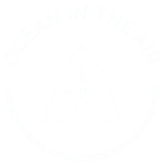 Ocean In The Air
